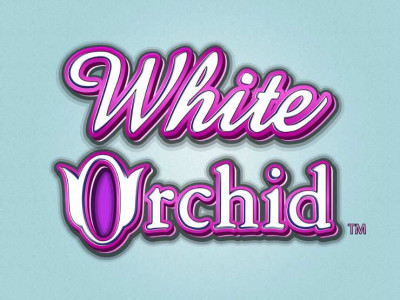 White Orchid IGT Slot White Orchid IGT Slot