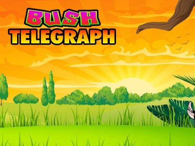 bush-telegraph-slot Bush Telegraph