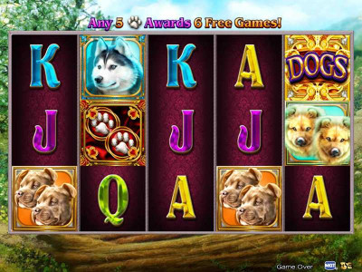 dogs Dogs